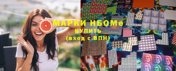 хмурый Алексин