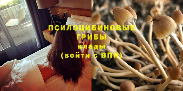 мескалин Алзамай