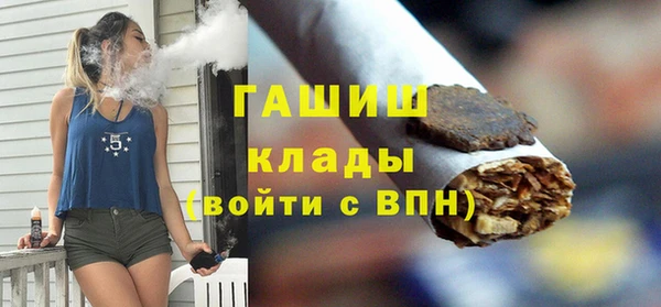 хмурый Алексин