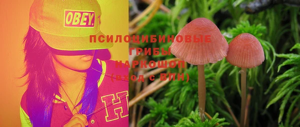 хмурый Алексин